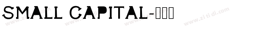 SMALL CAPITAL字体转换